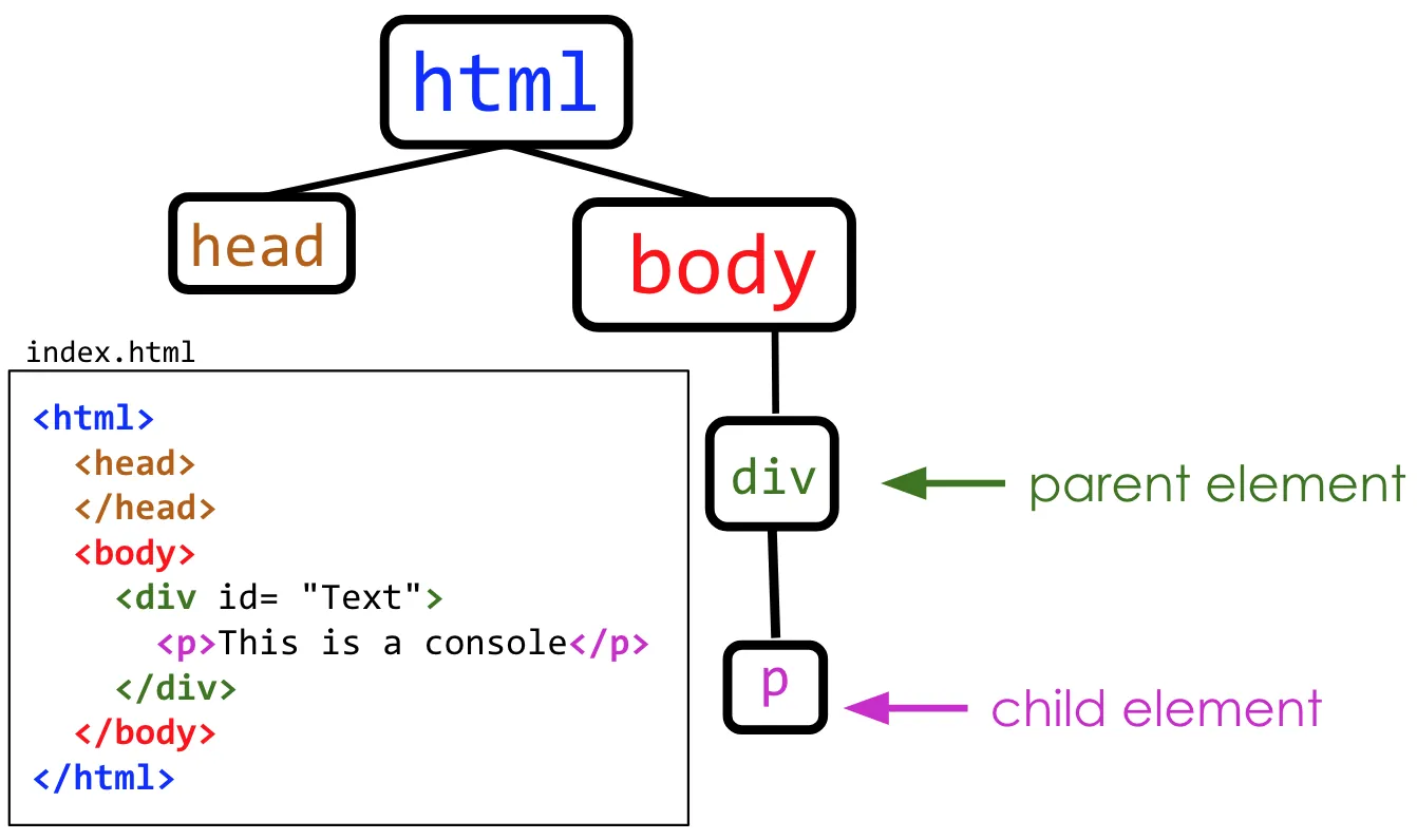 A tree diagram with bubbles illustrating the nested relationships between html elements. Bubbles head and body are connected to a bubble for html above them. The div bubble is connected to the body bubble and is labeled “parent element” with an arrow. The p bubble is connected to the div bubble and is labeled “child element: with an arrow. The corresponding HTML code is displayed next to the tree diagram with p tags nested in div tags, which are also nested in body tags. Both head and body tags are nested in html tags.